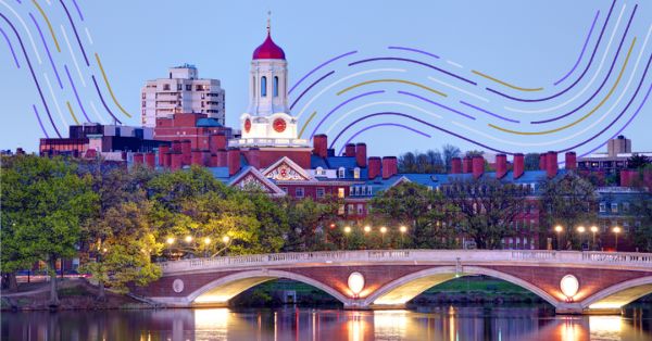 Every Organization Needs a “Harvard Response Strategy”