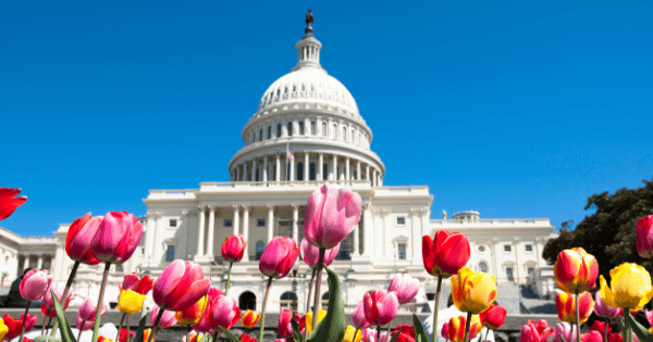 8 Policy Trends Every Government Affairs Team Should Watch in 2026